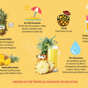 Rida - 100% Pineapple Juice + Passion Fruit Juice 250ml *PROMO! - Image 4