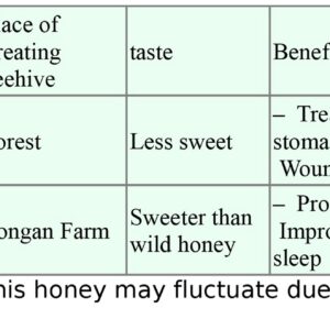 Thai Richy - 100% Pure Natural Honey 🍯515g + 80g=595g *PROMO! - Image 12
