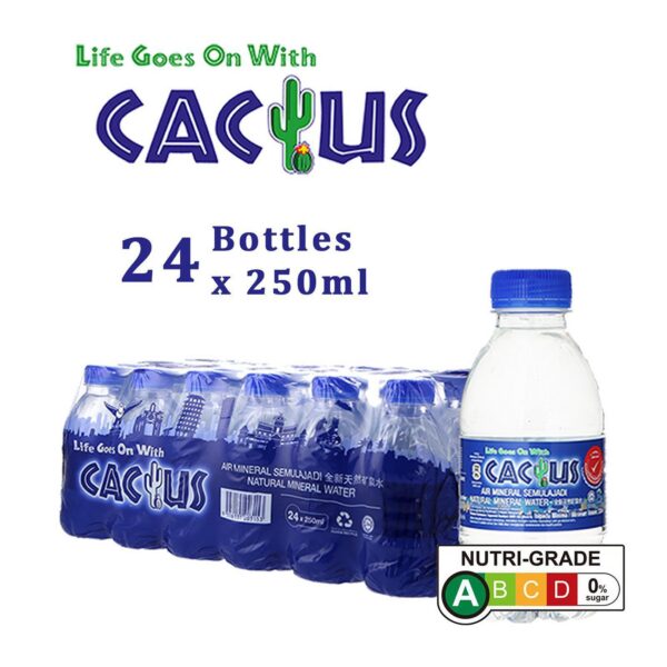 cactus-250ml-.jpg