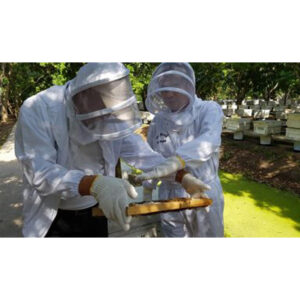 Thai Richy - 100% Pure Natural Honey 515g 🍯 *Promo! - Image 5